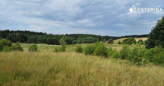 Działka budowlana Dziemiany