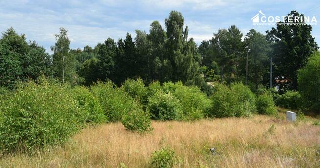 Działka budowlana Dziemiany