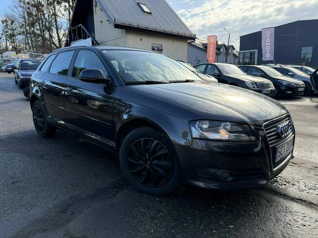 Audi A3 Klimatronic 2-stref, 2 kpl. kół, Ele szyby 4x, Ele lusterka