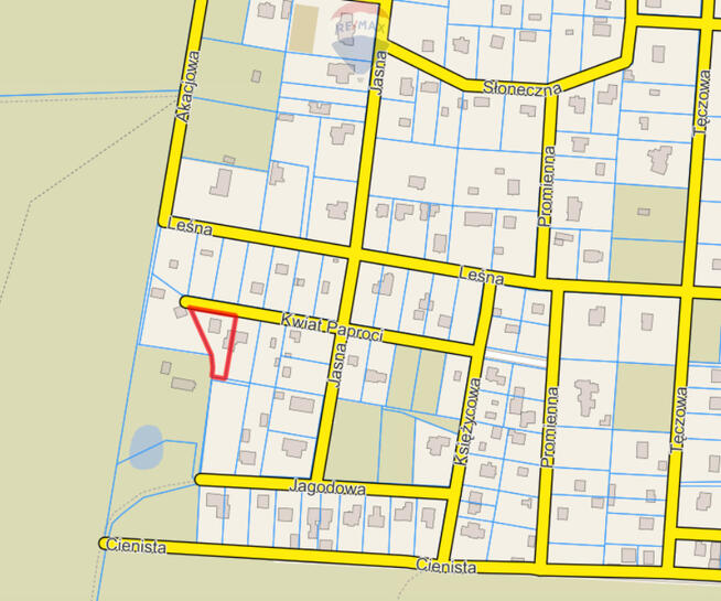 Działka zabudowana – Zalesie Górne- Kwiat Paproci