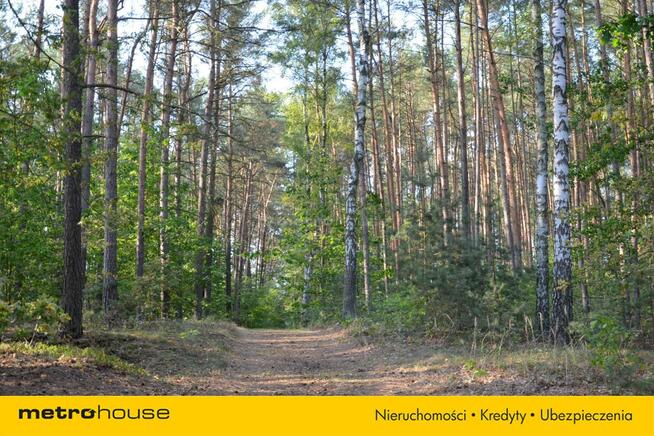 Działka Swolszewice Duże