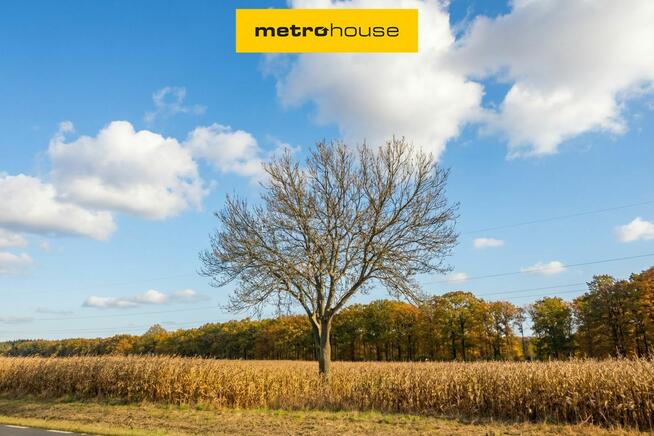 DZIAŁKA INWESTYCYJNATEREN PRODUKCYJNO-MAGAZYNOWY