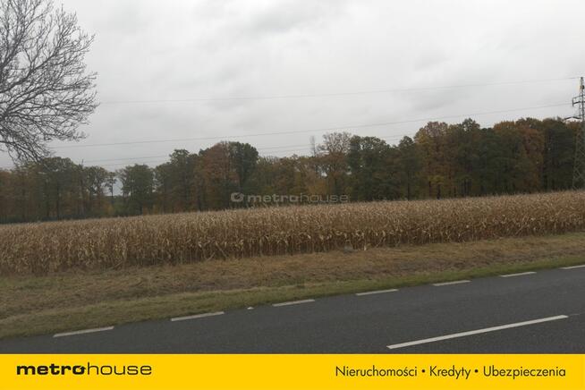 DZIAŁKA INWESTYCYJNATEREN PRODUKCYJNO-MAGAZYNOWY