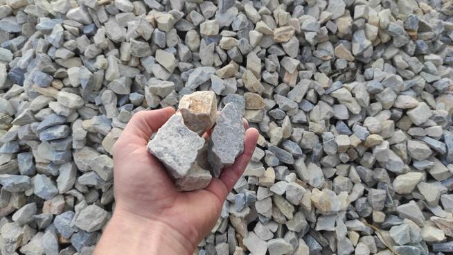 Grys ozdobny granitowy 16-22mm Dalmatyńczyk Premium!