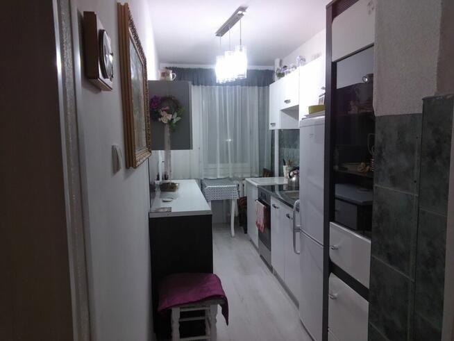 Wygodne mieszkanie w doskonałej lokalizacji