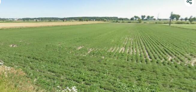 Działki Budowlane - Uzbrojone koło Radziejowa Kuj