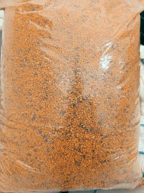 Miód Pszczeli Naturalny