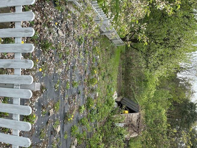 Sprzedam prawa do użytkowania działki Rod