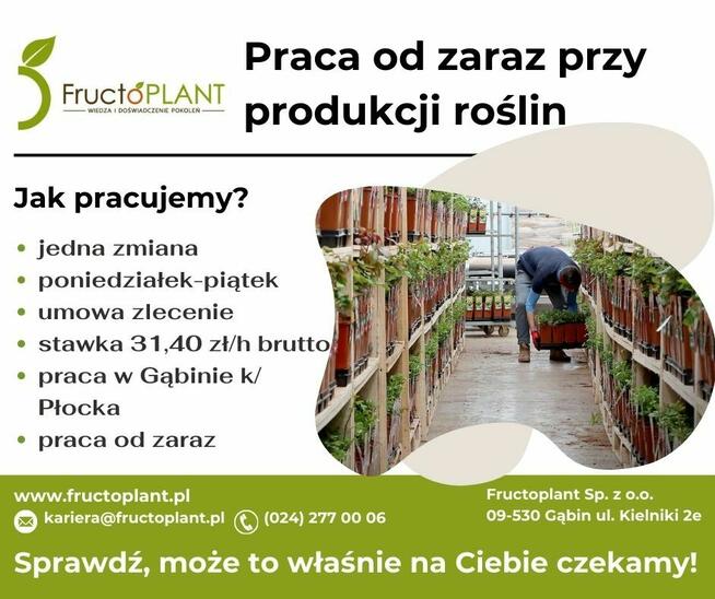 Praca na produkcji w Gąbinie k/ Płocka