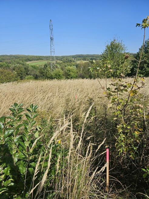 ATRAKCYJNE, INWESTYCYJNE, WIDOKOWE DZIAŁKI W WARZYCACH z WZ