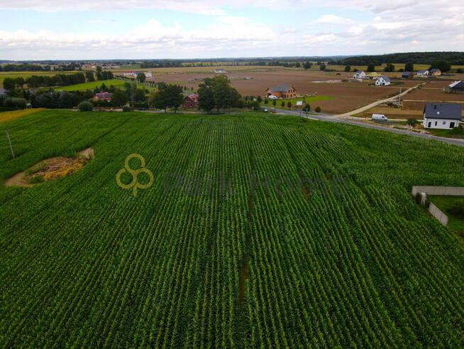 Działka budowlana Gronówko gm. Lipno,