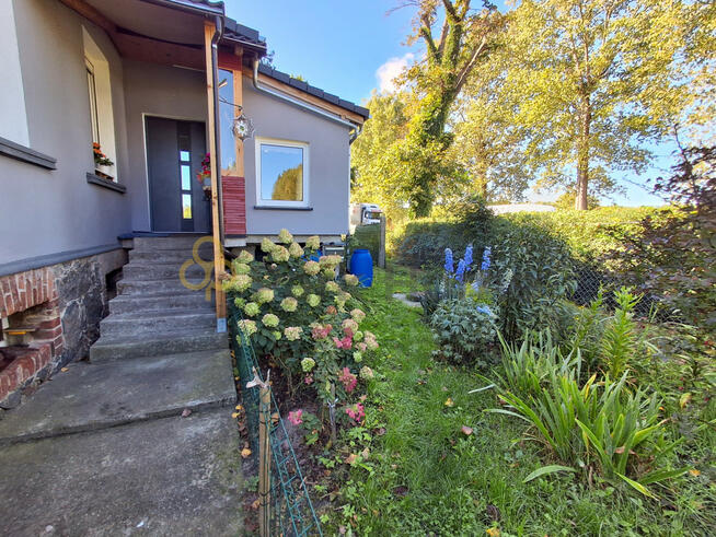 Mieszkanie Wilenko gm. Szczaniec,