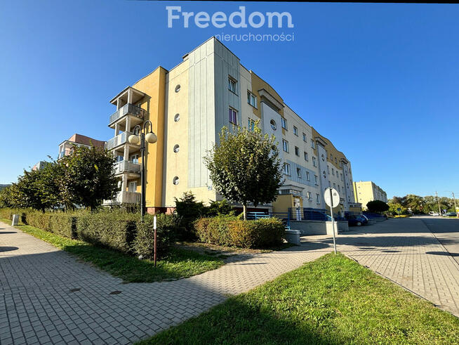 Partowe mieszkanie na wynajem w Elblągu