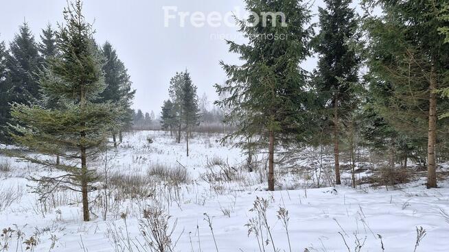 Malownicza działka 750m od jez Narie Warmia Mazury
