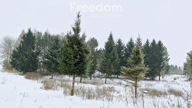 Twoje miejsce ciszy–750m od jeziora Warmia Mazury