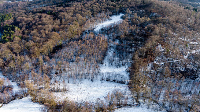 Działka rolna- Grabno- Wojnicz- Małopolska