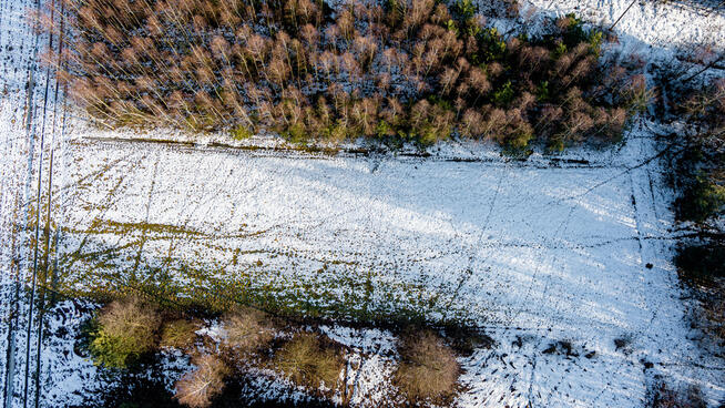 Twoje miejsce na dom – płaska, prostokątna działka