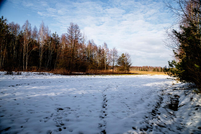 Twoje miejsce na dom – płaska, prostokątna działka