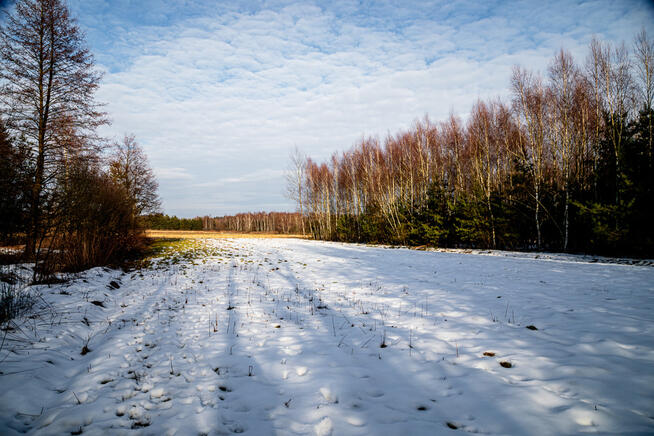 Twoje miejsce na dom – płaska, prostokątna działka