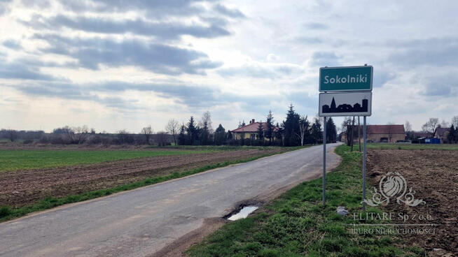 Działka budowlana/siedliskowa 3000m2 z MPZP Sokolniki gm. Kąty Wrocławskie