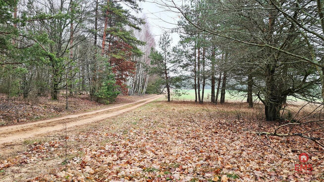 Działka budowlana Pieńki gm. Michałowo,