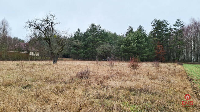 Działka budowlana Pieńki gm. Michałowo,