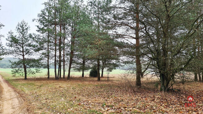 Działka budowlana Pieńki gm. Michałowo,