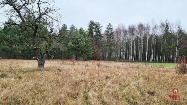 Działka budowlana Pieńki gm. Michałowo,