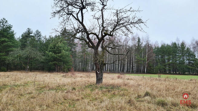 Działka budowlana Pieńki gm. Michałowo,