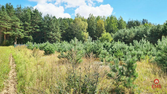 Działka budowlana Wólka Poduchowna gm. Wasilków,