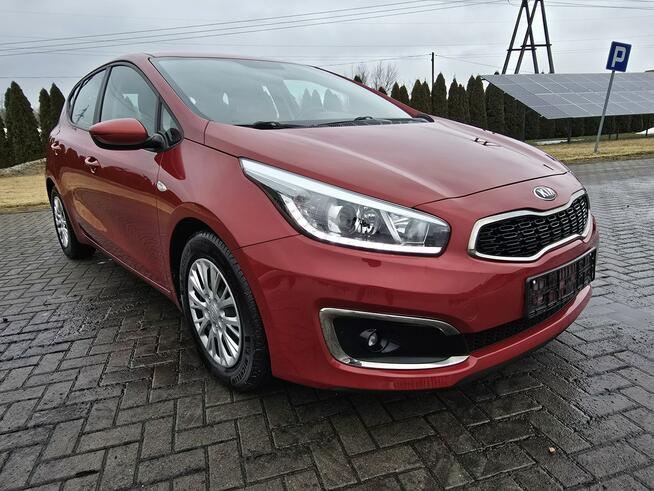 Kia Cee'd 1,6crdi Navi.Kam.Cof.Tempomat.Ledy.Parktronic.kredyt.OKAZJA