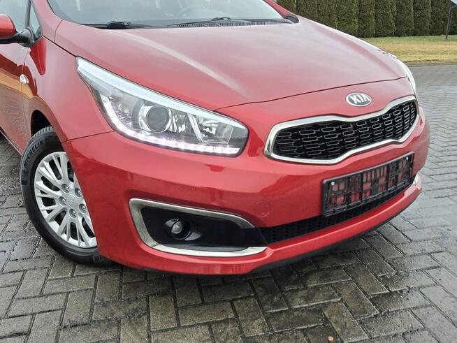 Kia Cee'd 1,6crdi Navi.Kam.Cof.Tempomat.Ledy.Parktronic.kredyt.OKAZJA