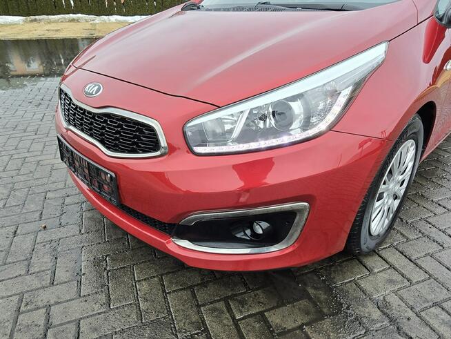 Kia Cee'd 1,6crdi Navi.Kam.Cof.Tempomat.Ledy.Parktronic.kredyt.OKAZJA