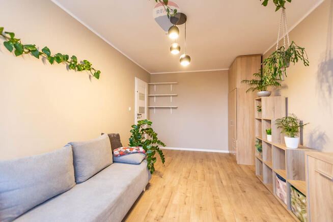 Do wynajęcia 3 pokoje w centrum Zielonej Góry!