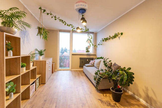 Do wynajęcia 3 pokoje w centrum Zielonej Góry!