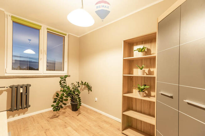 Do wynajęcia 3 pokoje w centrum Zielonej Góry!