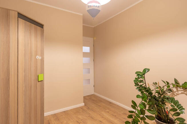 Do wynajęcia 3 pokoje w centrum Zielonej Góry!