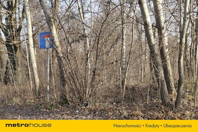 Działka Chruszczobród, ul. Szpakowa