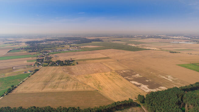 Tania działka budowl. pod lasem. Janczewo Kolonia