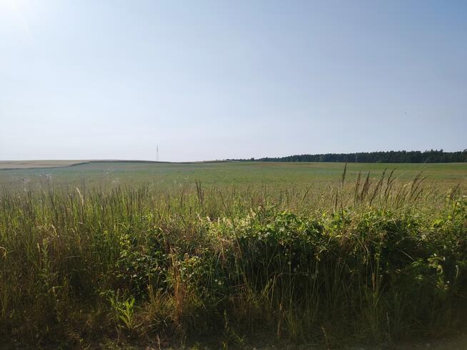 Tania działka budowl. pod lasem. Janczewo Kolonia