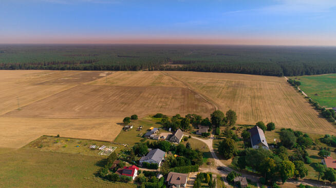 Tania działka budowl. pod lasem. Janczewo Kolonia