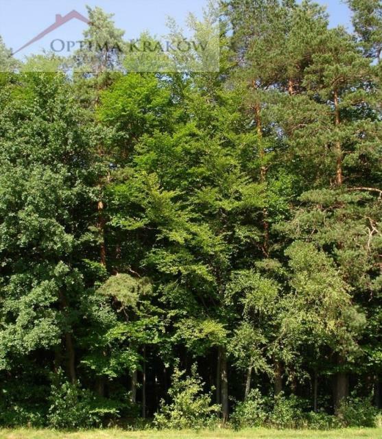 Działka budowlana Łęki gm. Myślenice