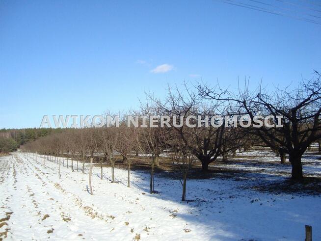 Działka siedliskowa Petrykozy gm. Żabia Wola