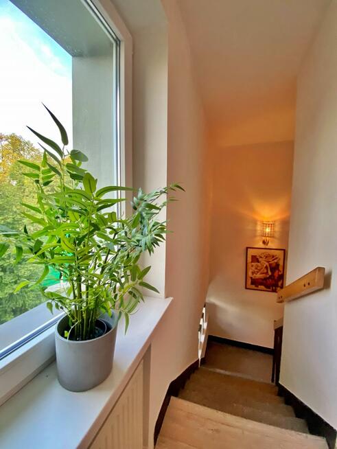 Pokój Kraków gm. Kraków-Krowodrza Bronowice Małe, Eliasza Radzikowskiego