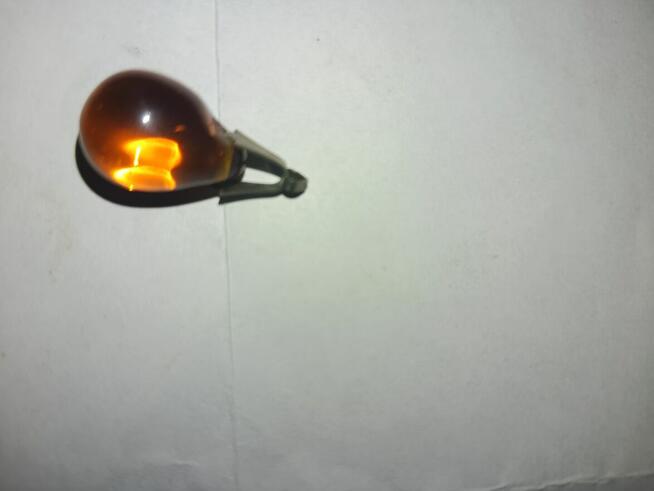 Stary wisiorek bursztyn