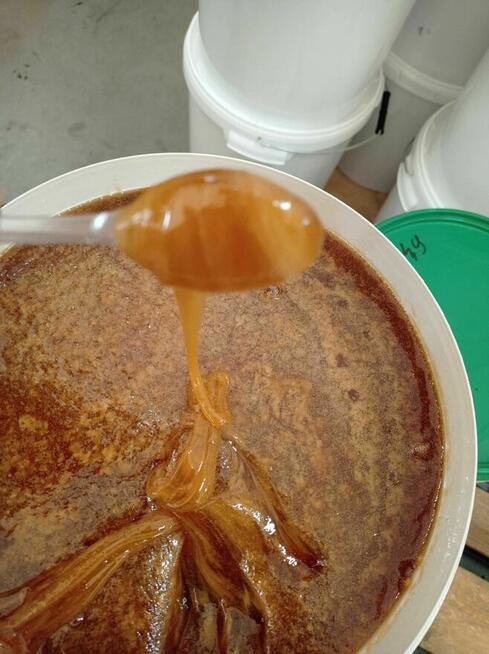 Miód Pszczeli Naturalny