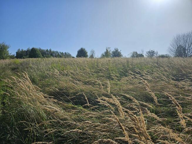 ATRAKCYJNE, INWESTYCYJNE, WIDOKOWE DZIAŁKI W WARZYCACH z WZ