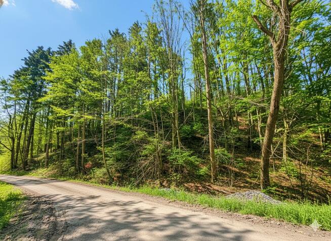 Dom murowany na końcu wsi. 10 arów działki