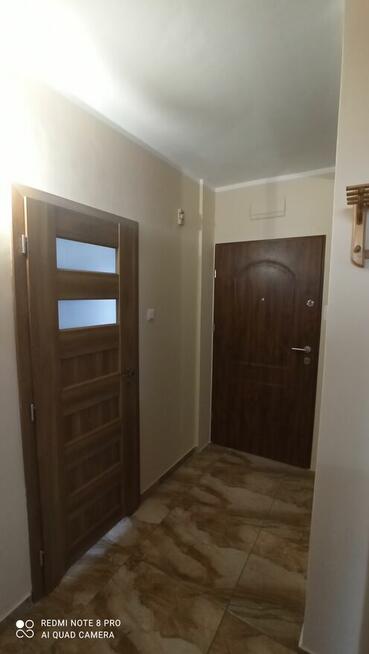 Mieszkanie - 2 pokoje plus kuchnia do wynajęcia