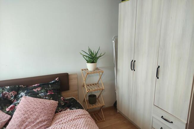 Mieszkanie dla singla lub pary - Nowy Targ ul. Szaflarska